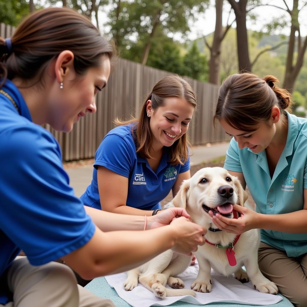 Dedicated volunteers interacting with animals at the San Clemente Humane Society