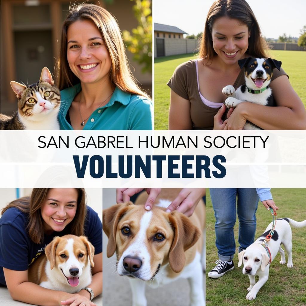 Volunteers at the San Gabriel Human Society care for animals