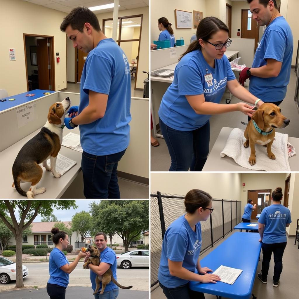 Volunteers at Sequoia Humane Society