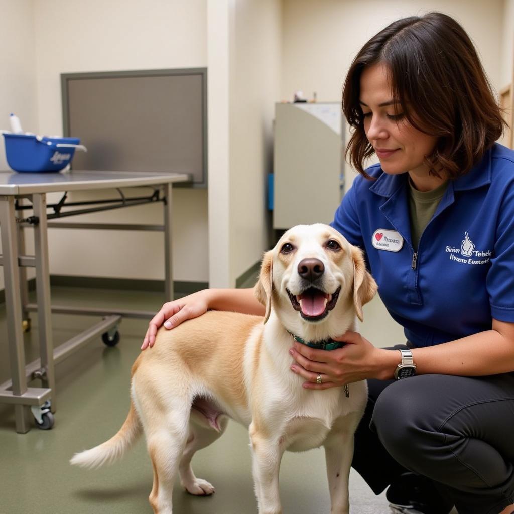 Dog Training at Silicon Valley Humane Society