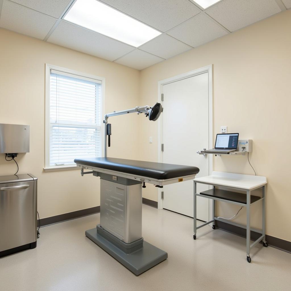 Modern and welcoming exam room at Society Hill Veterinary Hospital