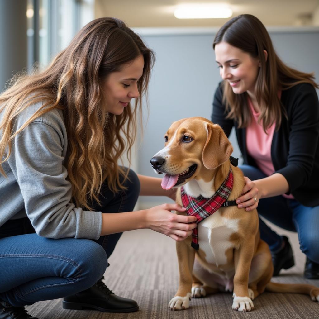 Volunteers at the South Platte Valley Humane Society