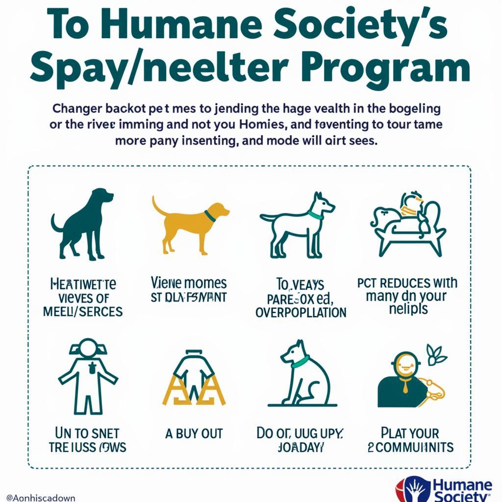 The Importance of Spay/Neuter Programs at the Humane Society of Highlands County