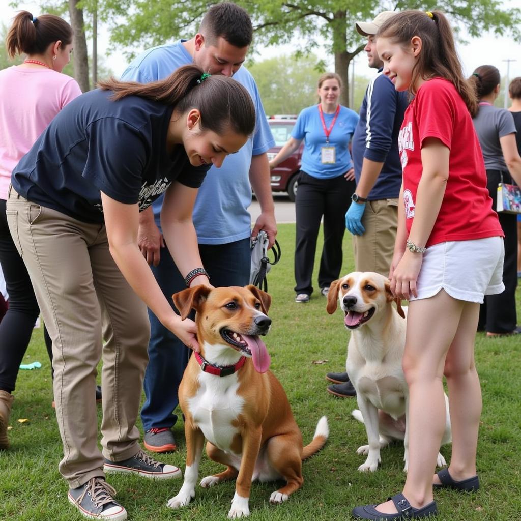 St. Tammany Humane Society Adoption Event