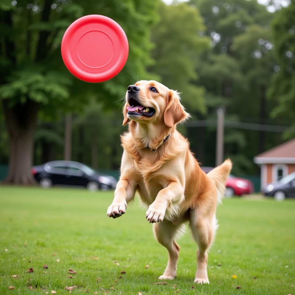 A happy dog playing fetch in a park