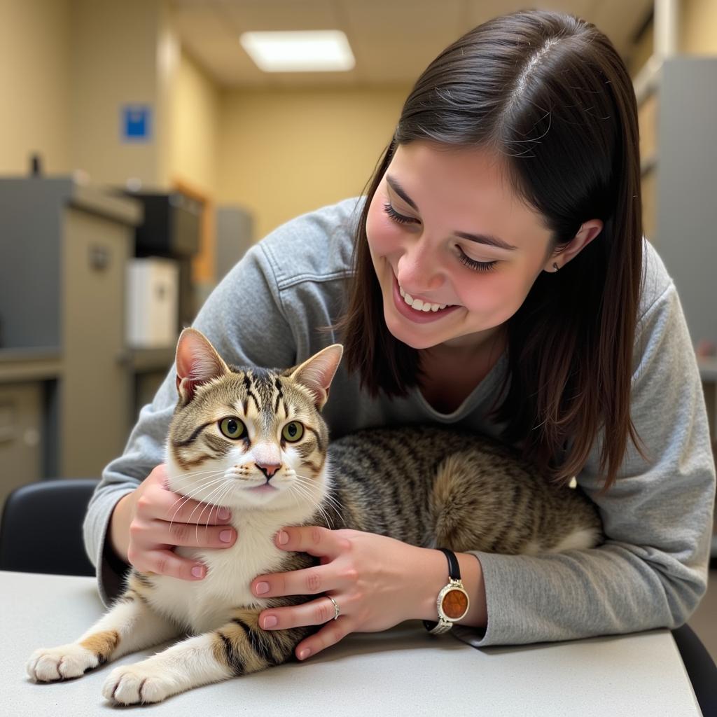 Volunteering at Sterling Humane Society