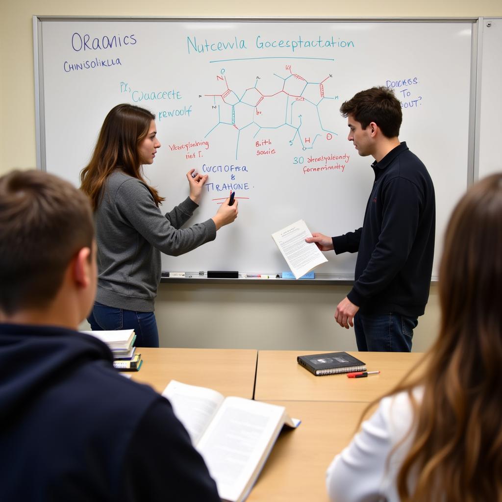 students collaborating on organic chemistry concepts in a study group