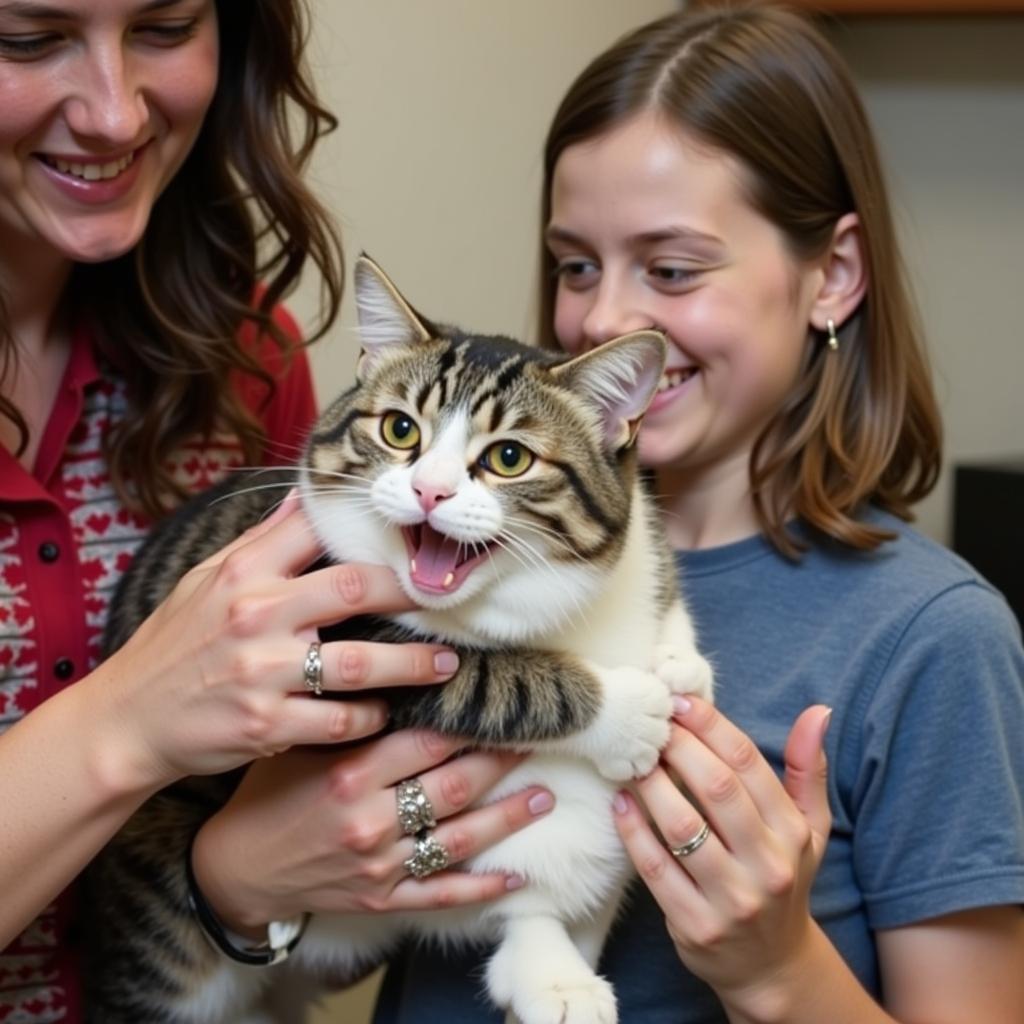 Volunteer Comforting a Cat at Sullivan County Humane Society