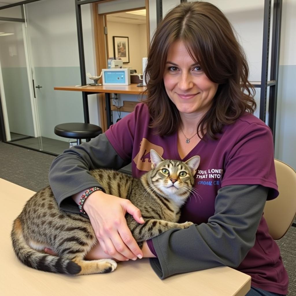 A rescued cat cuddled up with a volunteer