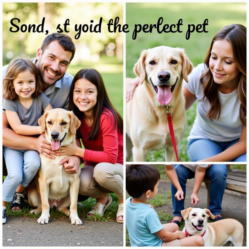 A happy family meets their new furry friend at the Sumter Humane Society