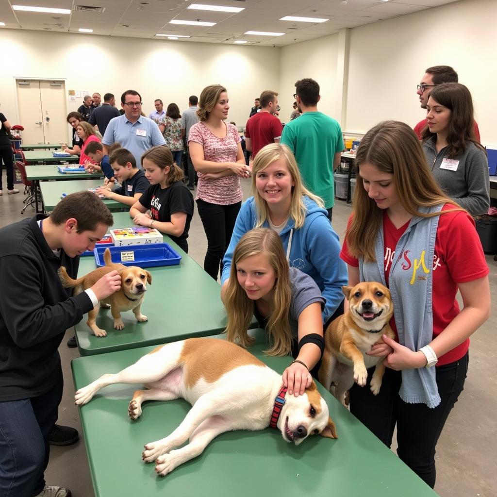 Connecting Animals with Loving Families