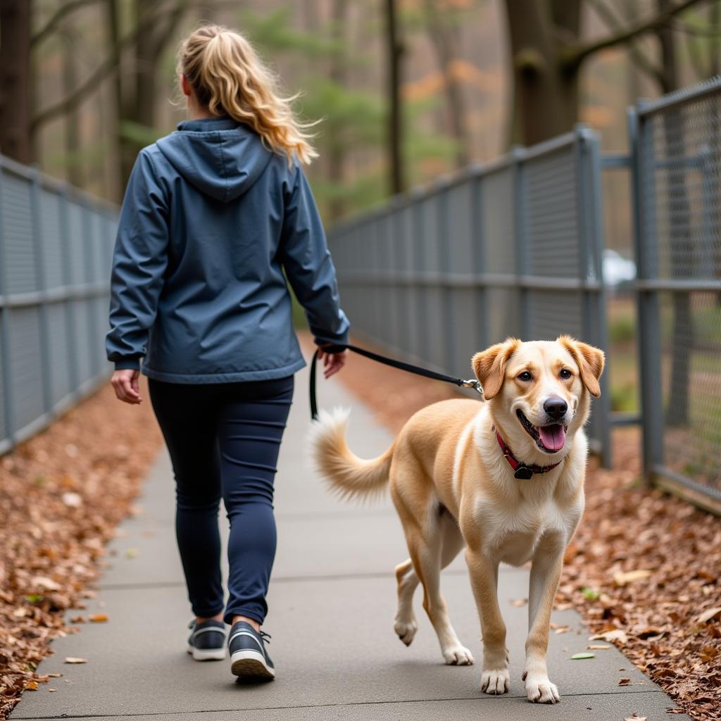 Volunteer Walking Dog at Toccoa Humane Society