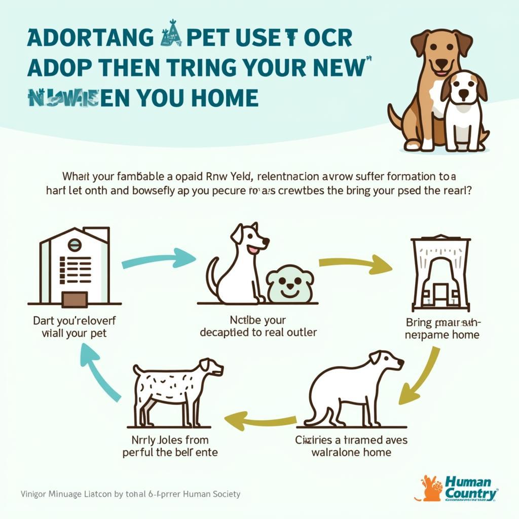 Town and Country Humane Society Adoption Process