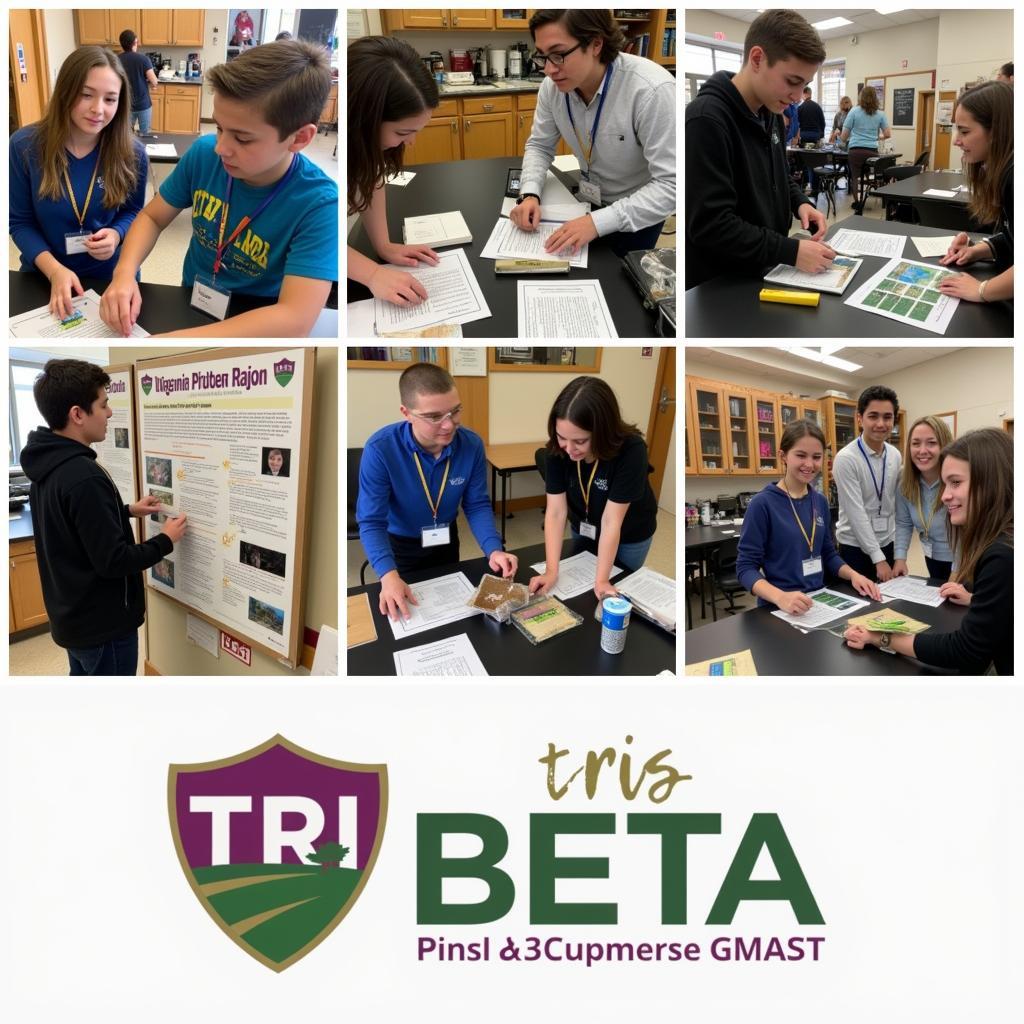 Tri Beta Extracurricular Activities Collage