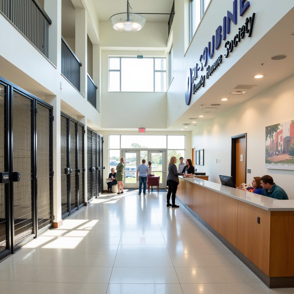 Spacious kennels and a welcoming lobby at the Tri-County Humane Society in Boca Raton.