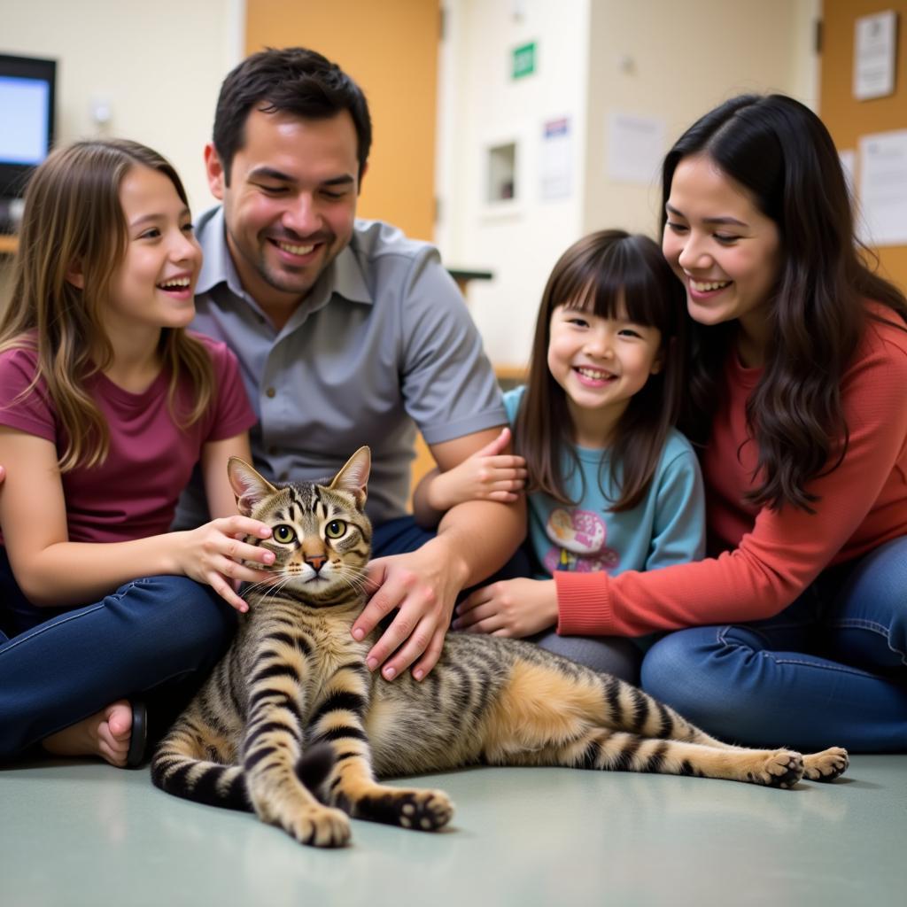 A Family Finds Their Feline Friend at the Tuolumne Humane Society