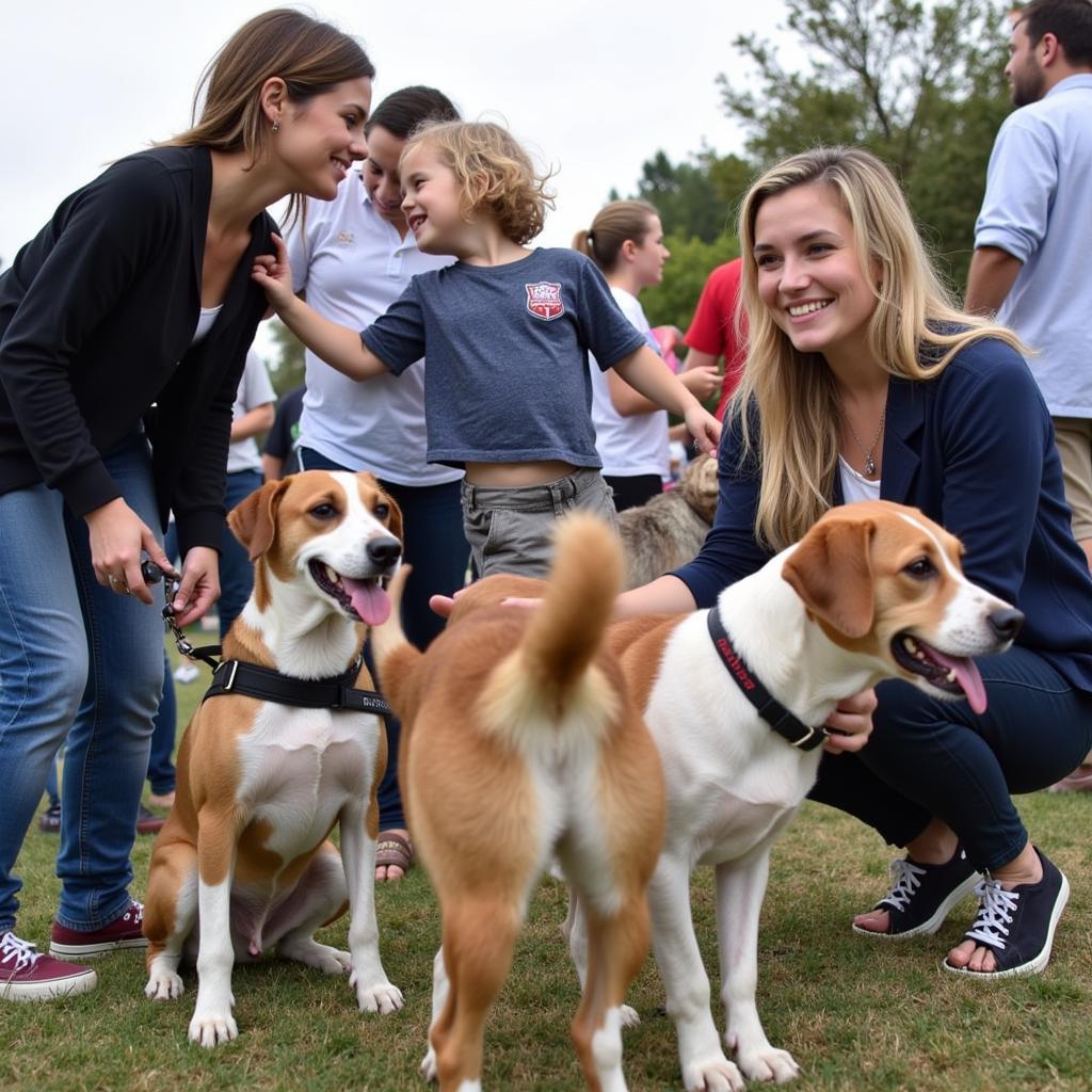 Families interact with dogs at a Ventura Humane Society Ojai adoption event.