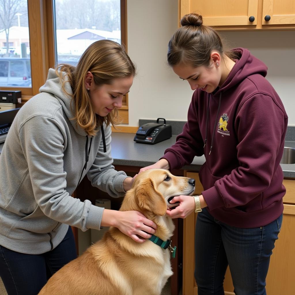 Volunteers Caring for Animals at Vermilion Humane Society