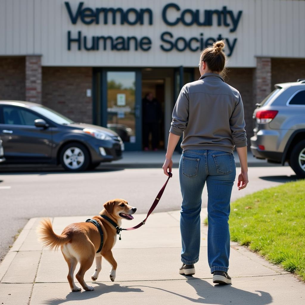 Volunteer walks a dog at Vernon County Humane Society