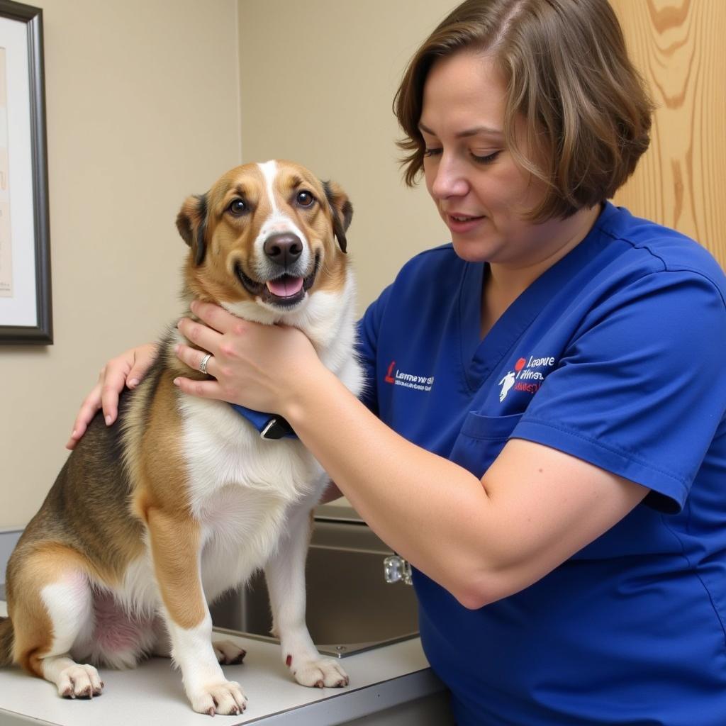 Veterinarian Examining Dog at Lenawee Humane Society