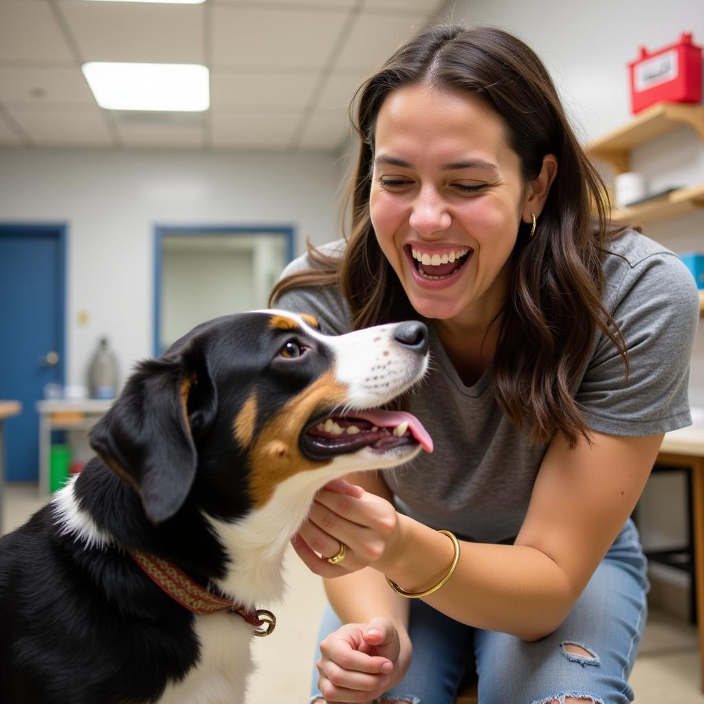 Volunteer Playing with Dog at Humane Society