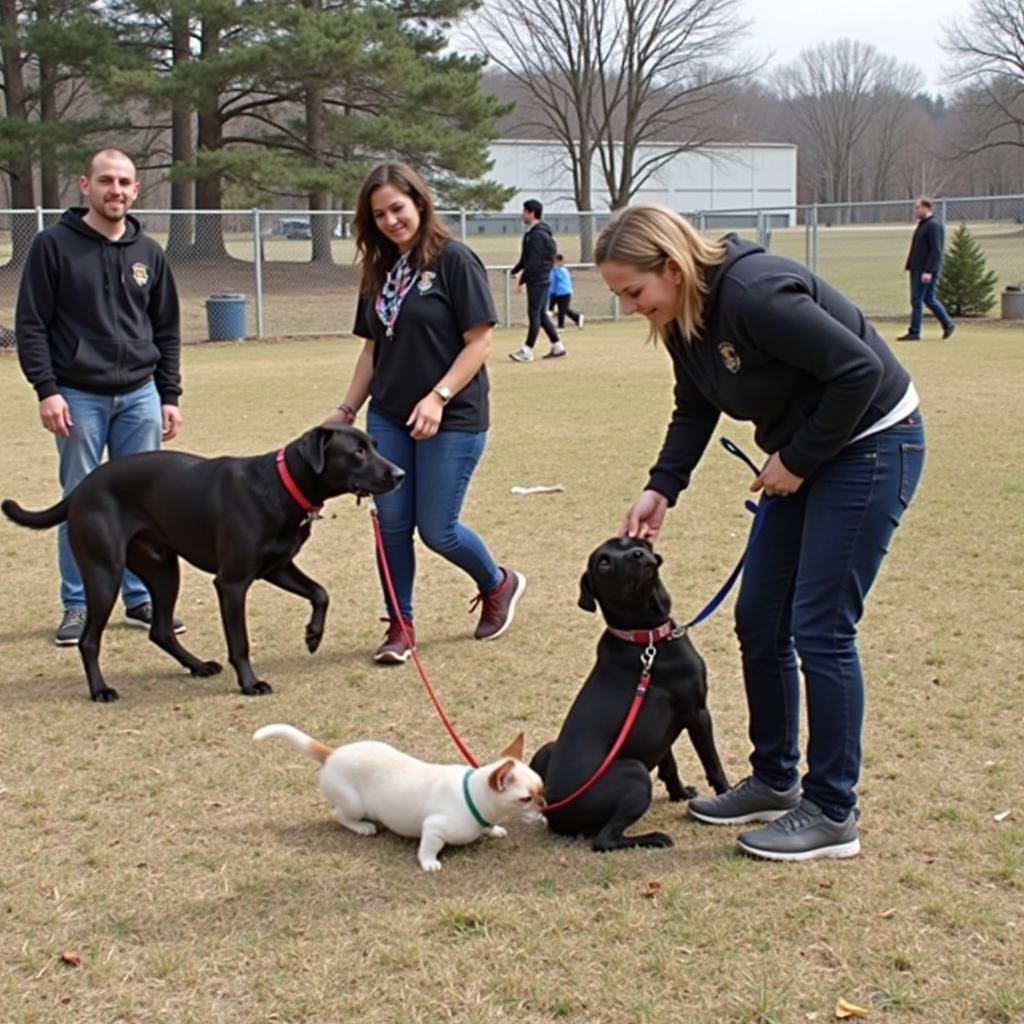 Volunteers playing with dogs and cats at the Clark County Humane Society