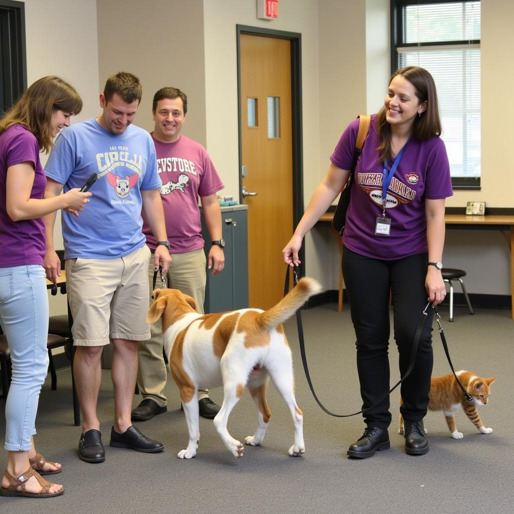 Volunteering at the Coshocton County Humane Society