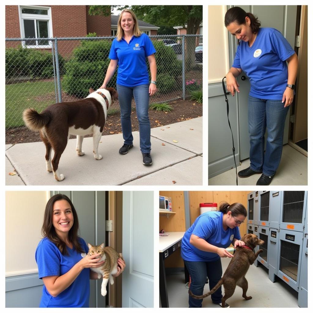 Volunteering at Gateway Humane Society Falls Creek