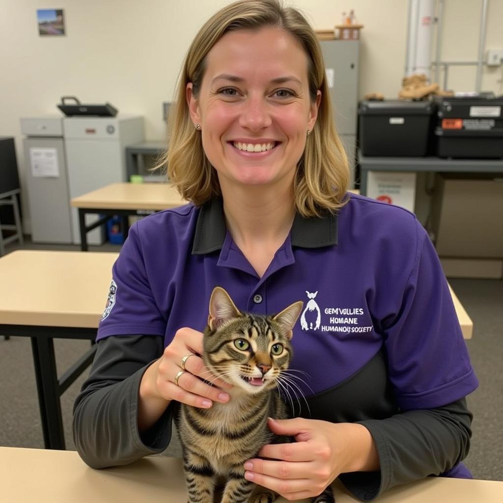 A volunteer interacts playfully with a shelter cat