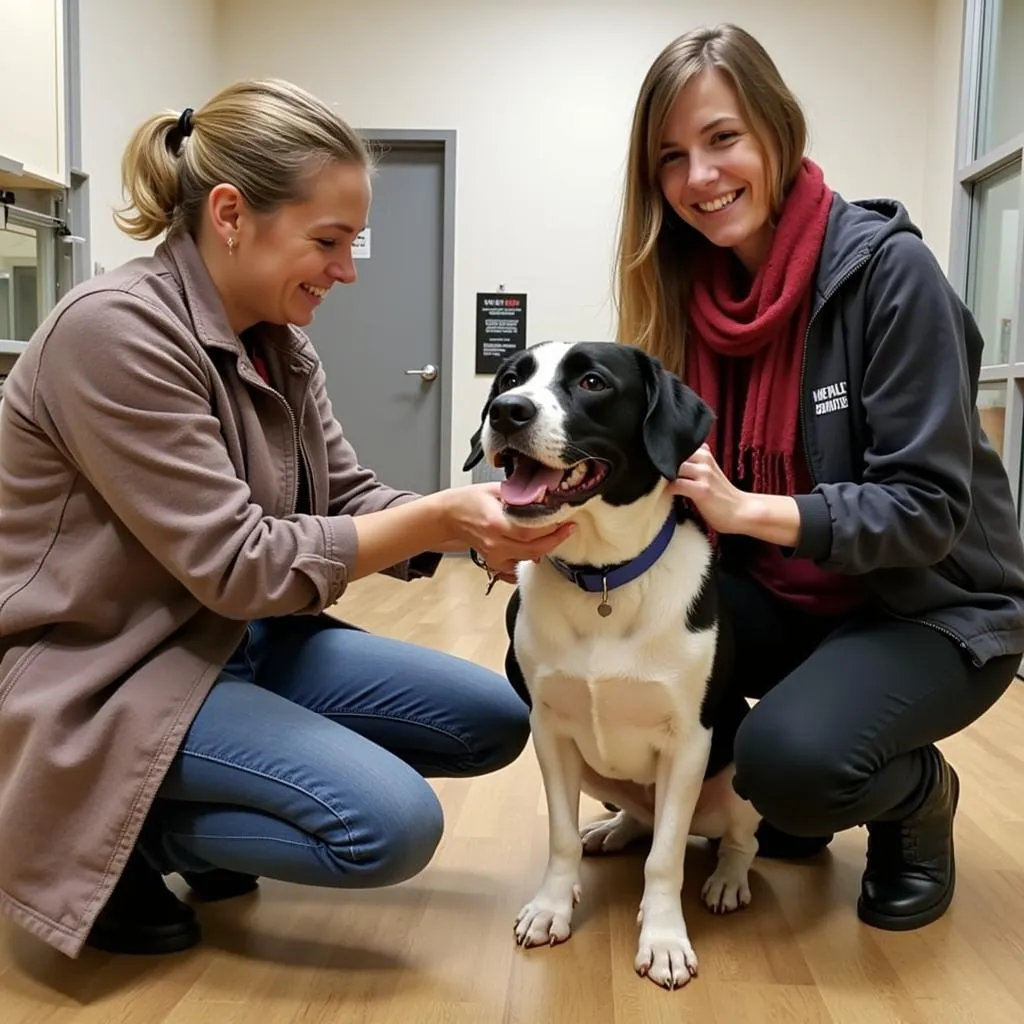 Volunteers interacting with a playful dog at the Henderson County Humane Society.