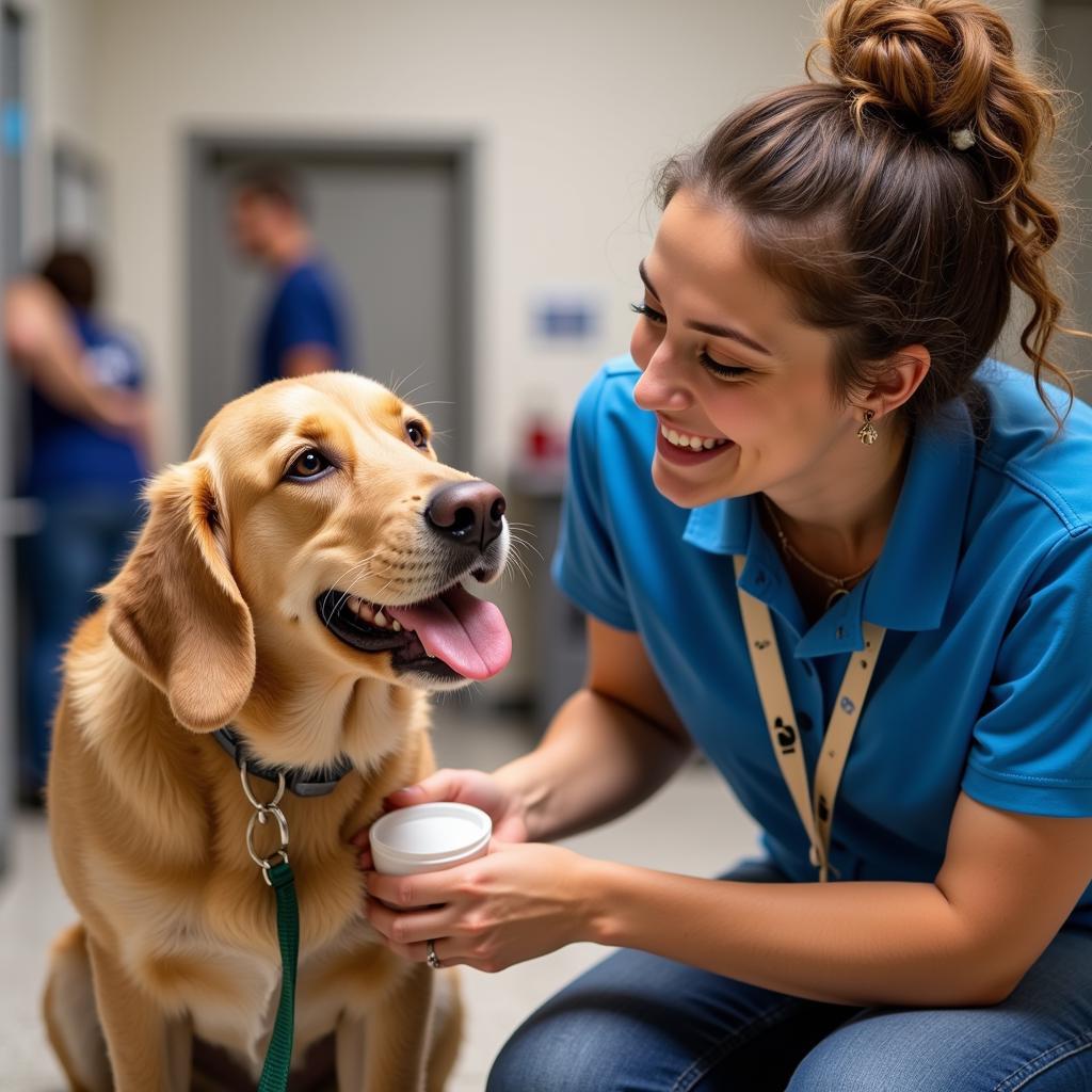 Volunteering at the Nevada Humane Society