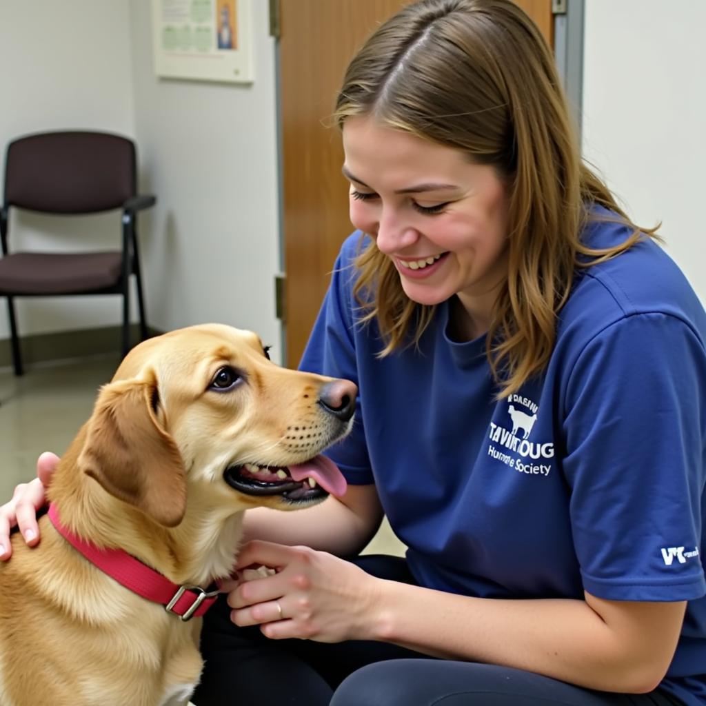 Volunteering at Talbot Humane