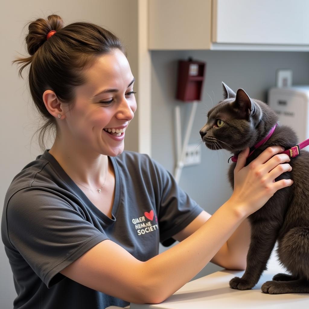 Volunteering at the Calgary Humane Society