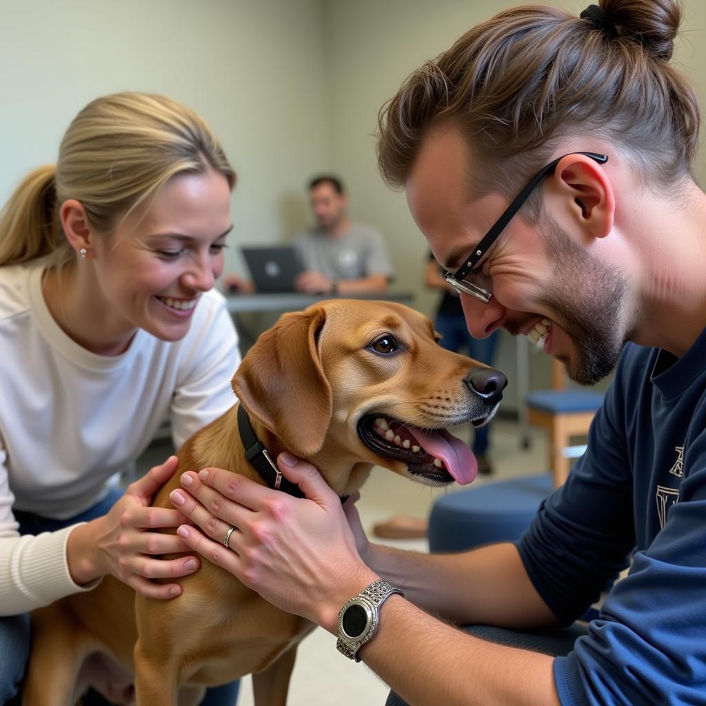 Volunteer at the Humane Society Crawfordsville Indiana