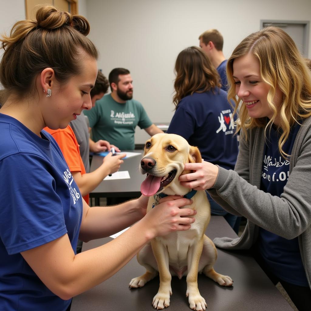 Volunteers Caring for Animals at the Des Moines County Humane Society