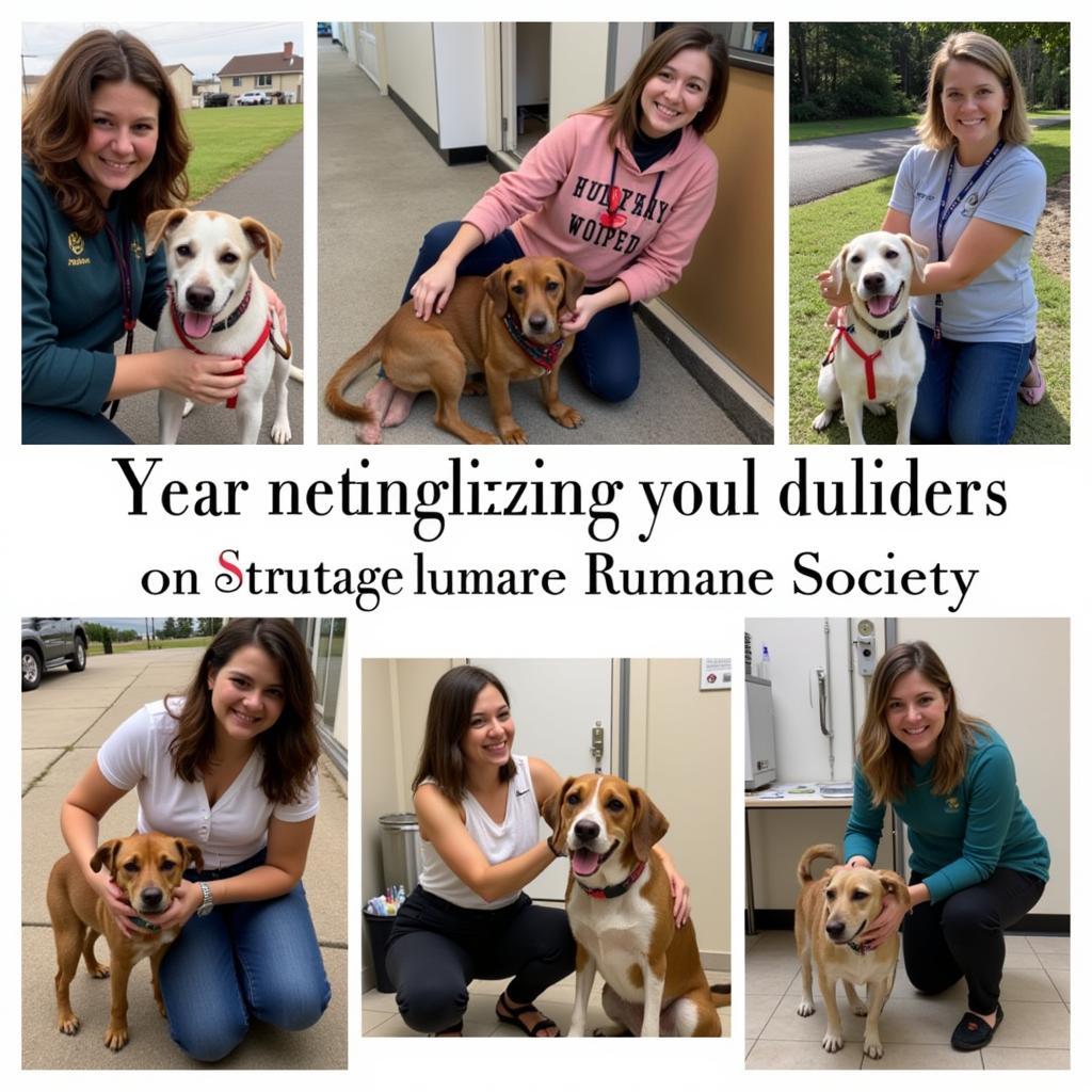 A group of volunteers happily interacting with dogs at the Heritage Humane Society.