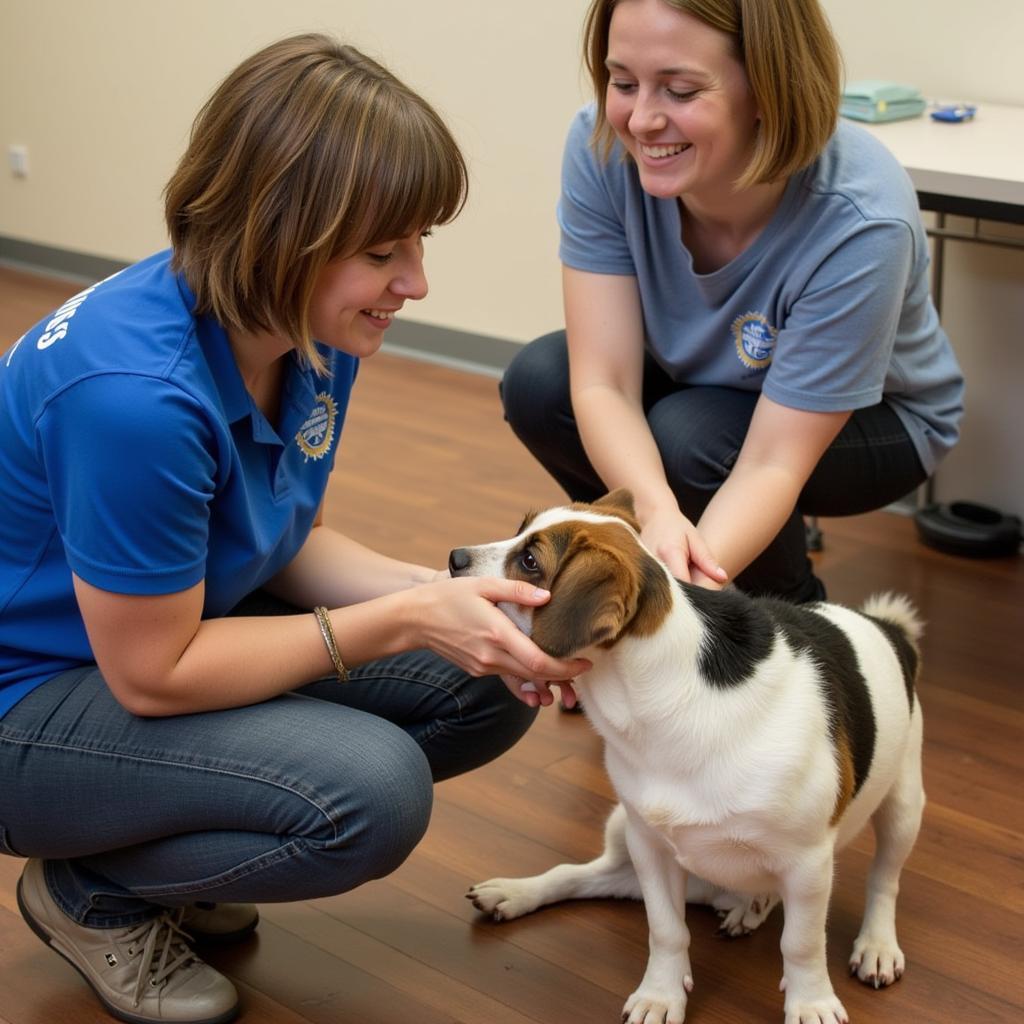 Volunteers at the Humane Society of Greenfield Indiana