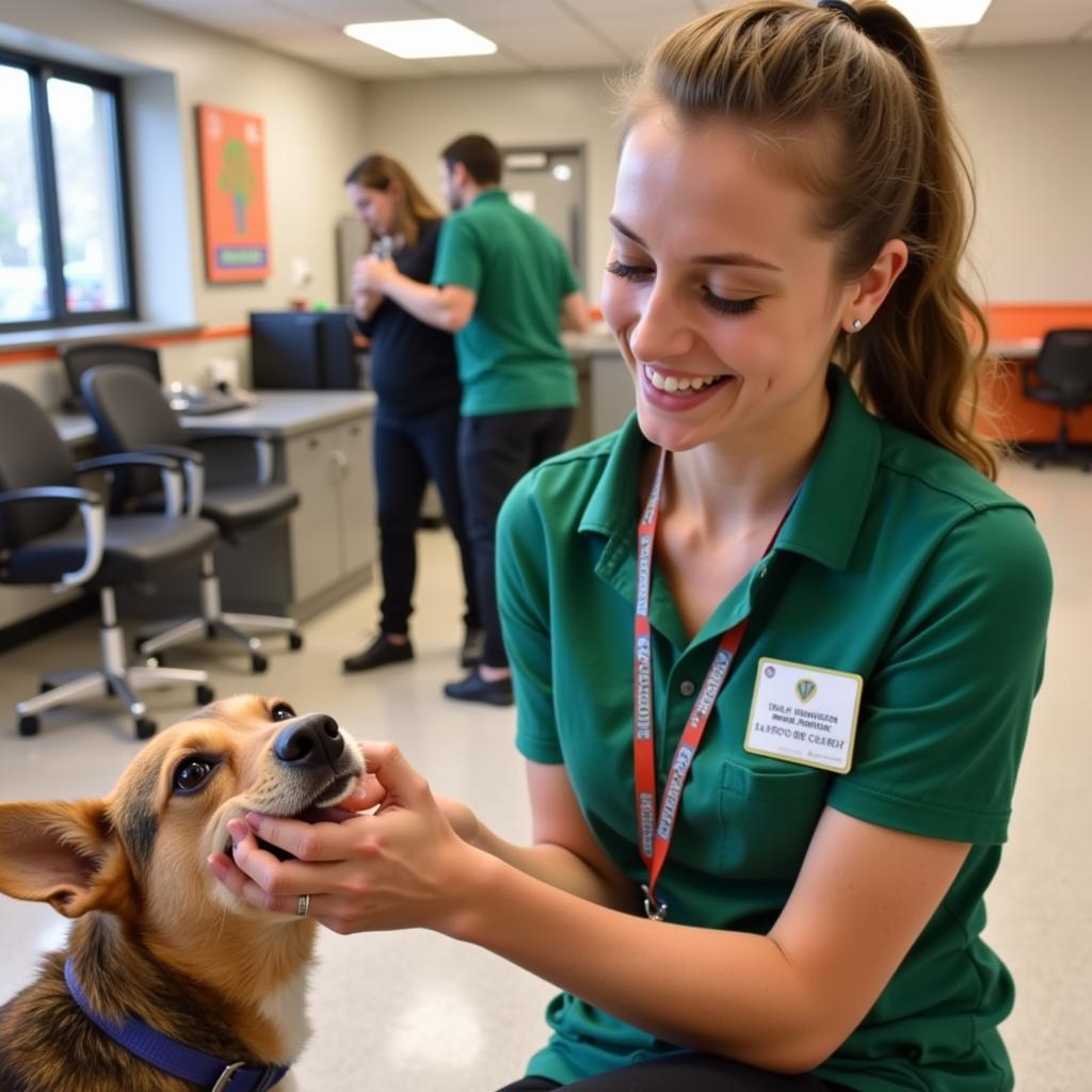 Volunteering at the Humane Society