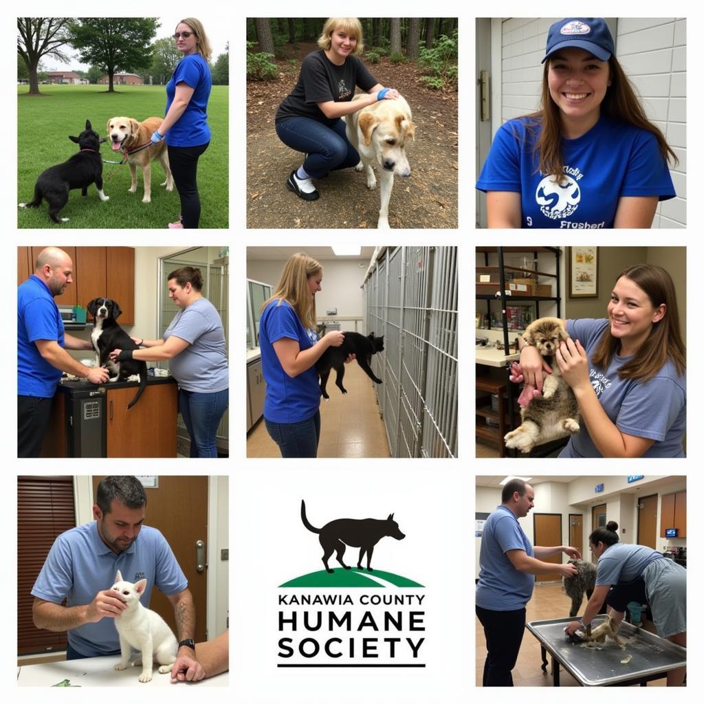 Volunteers at the Kanawha County Humane Society Caring for Animals