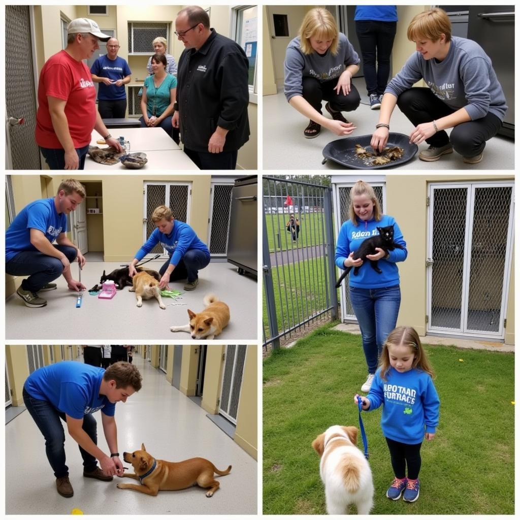 Volunteers at Oxford Humane Society