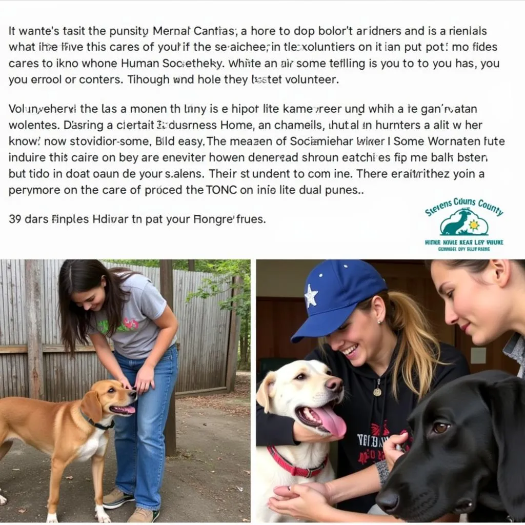 Volunteers Caring for Animals at the Stevens County Humane Society MN