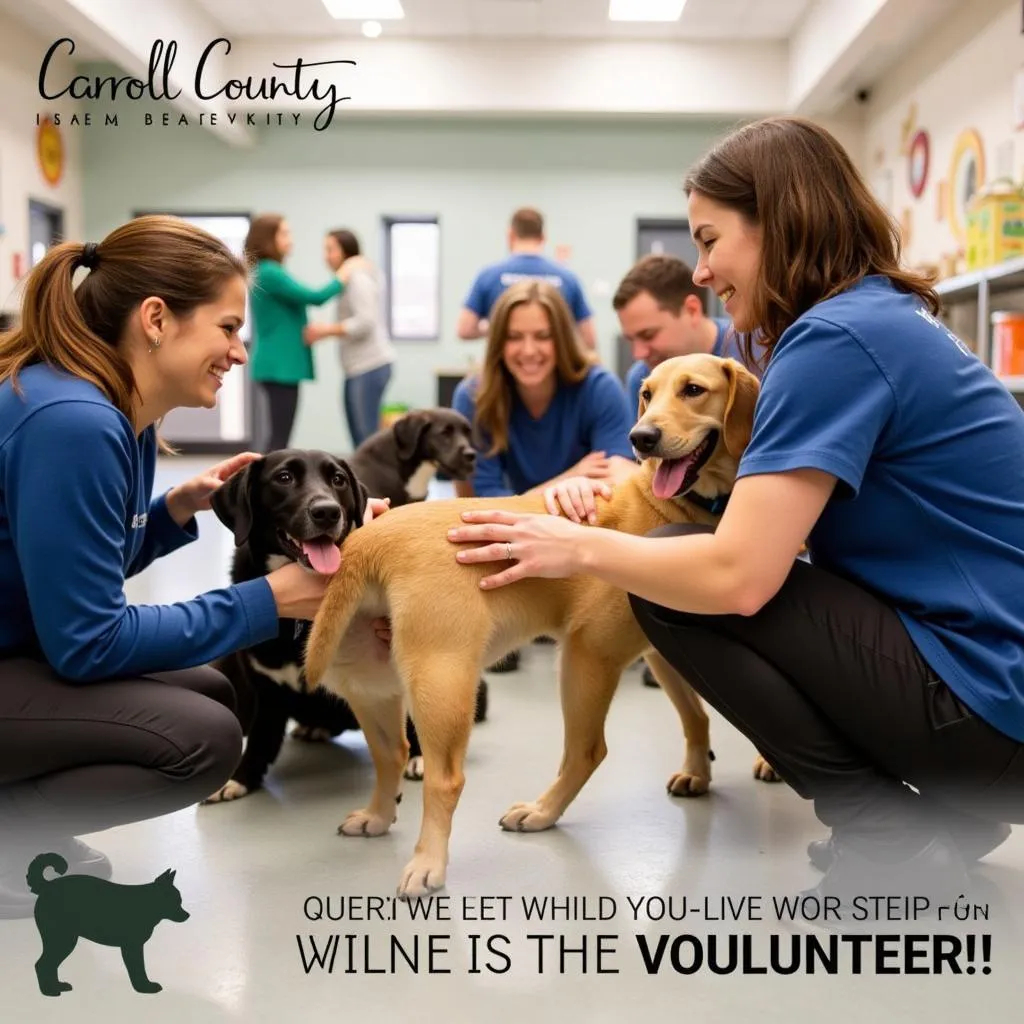 Volunteers Playing with Dogs at Carroll County Humane Society