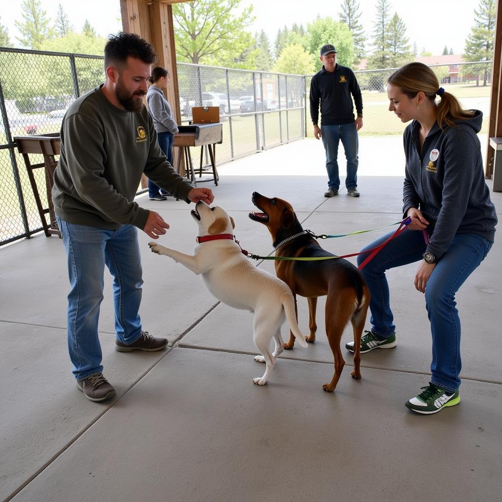 A heartwarming scene of volunteers joyfully engaging with dogs at the Park County Humane Society.