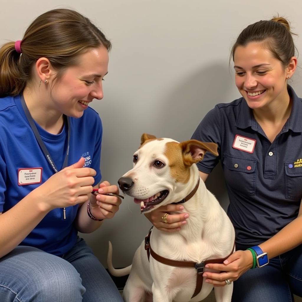 Watertown Humane Society Volunteers