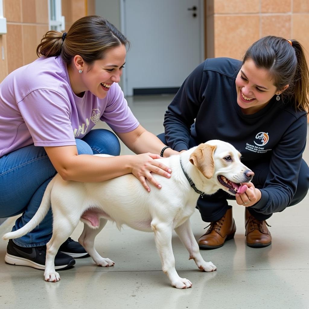 Volunteers playing with a dog at the Watonwan County Humane Society.