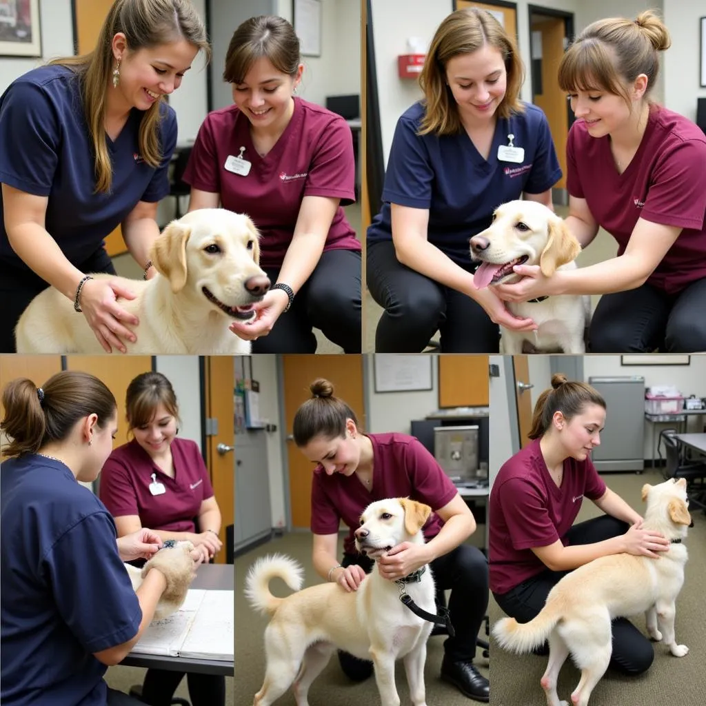 Waukesha County Humane Society Animal Care