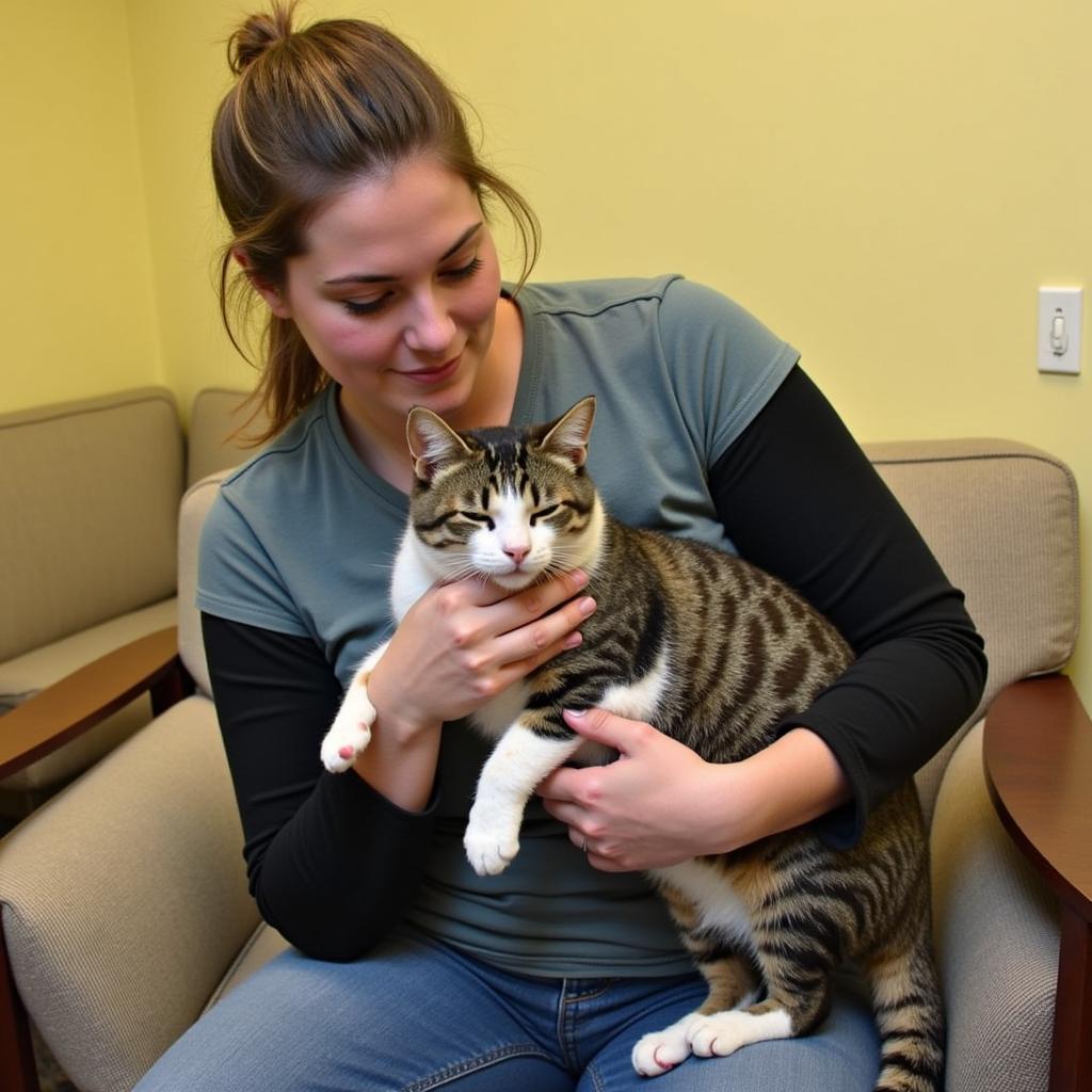 A volunteer gently pets a content cat at the Waynesville Humane Society.