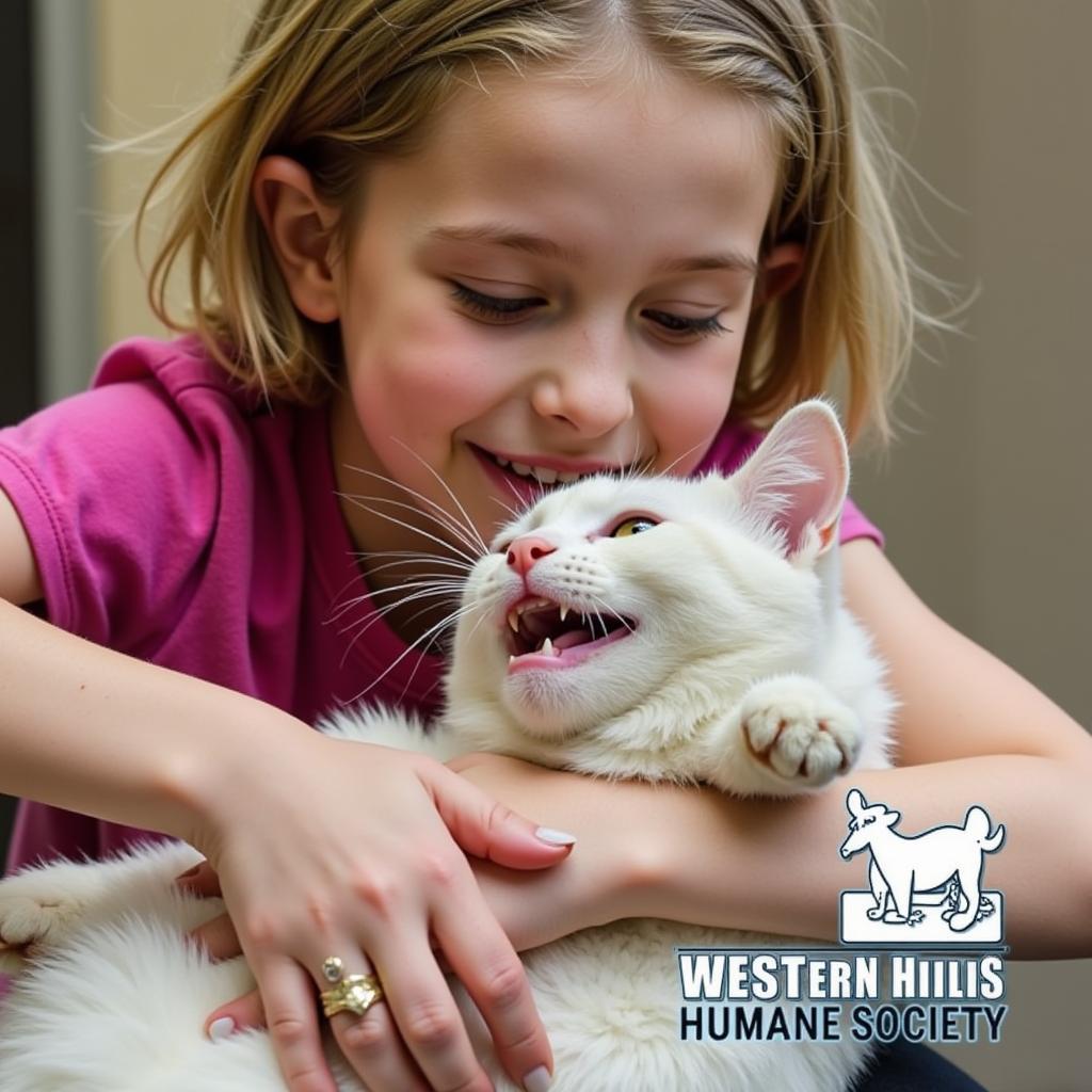 Cat adoption at Western Hills Humane Society