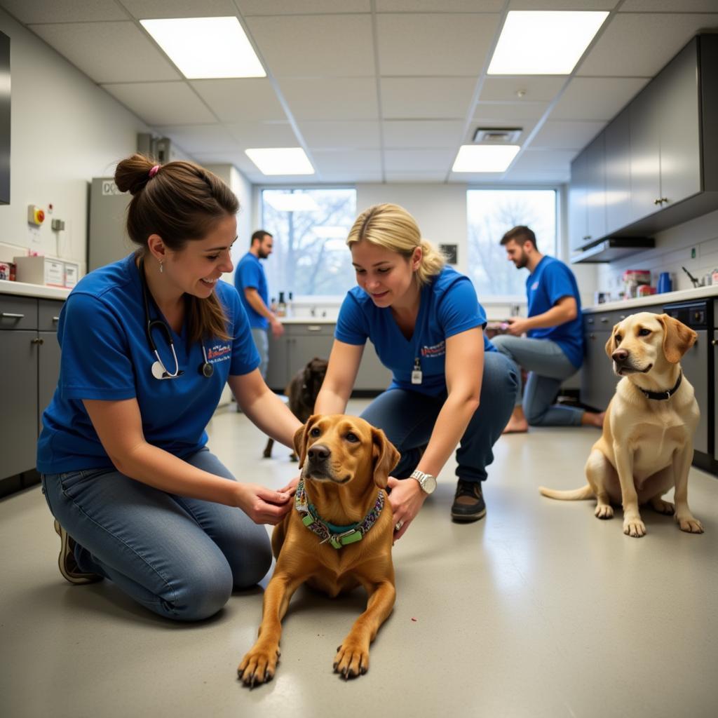 Whatcom Humane Society Animal Care