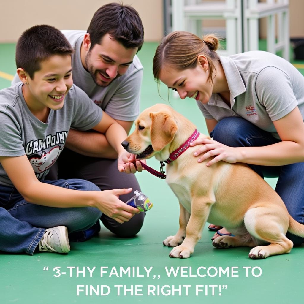 Meeting and Greeting Potential Pets